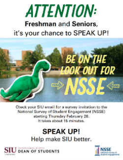 NSSE flyer thumb pic